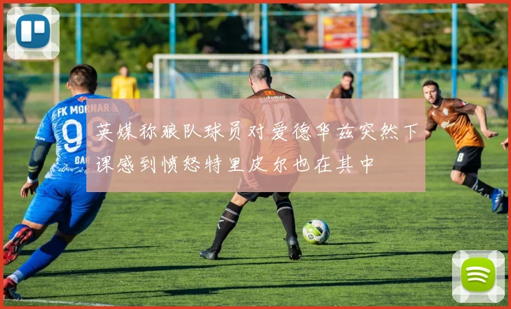 英媒称狼队球员对爱德华兹突然下课感到愤怒特里皮尔也在其中
